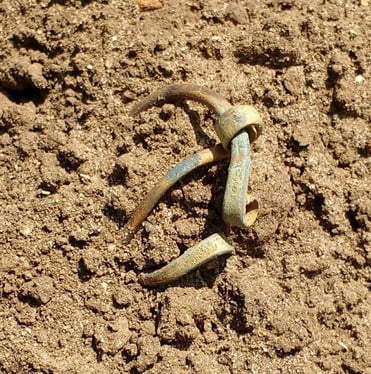 A bronze, circular Iron Age brooch protruding from sandy soil.