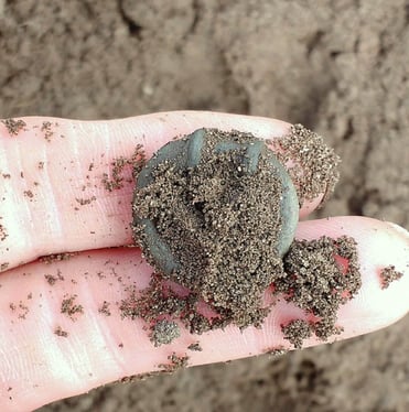 An Iron Age terret ring with green patina, covered in sandy soil, held on two fingers.