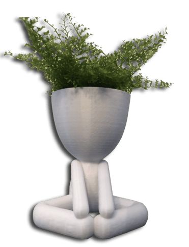 Pots de fleurs modernes