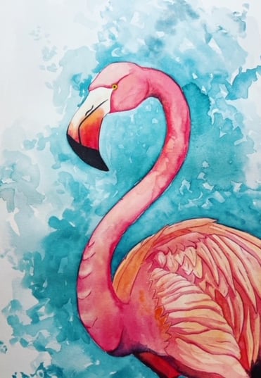 Flamand rose à l’aqaurelle
