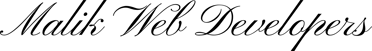 Malik Web Developers logo
