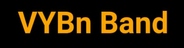 Ger Paid To Watch TV logo