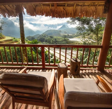 Balcony view of rice fields