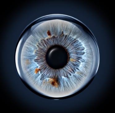 iris foto, Einzeliris, Auge, Macroaufnahme, glas-optik