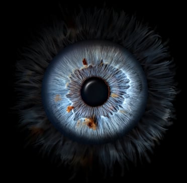 iris foto, Einzeliris, Auge, Macroaufnahme