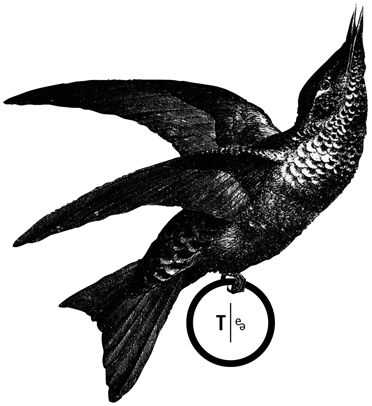 Logo von THESING2e mit poetischem Vogel