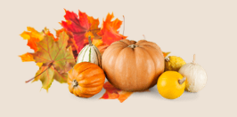 courges