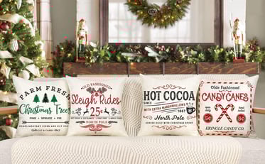 Christmas pillow covers