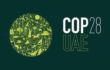 PESTICIDES LOBBYING COP ONU