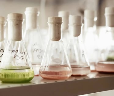 Cosmetique Phytoceane : soins écoresponsables en institut de Lagord, près de La Rochelle