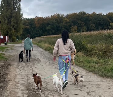 Social Walk auf einem Feldweg