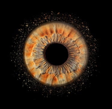 iris foto, Einzeliris, Auge, Macroaufnahme