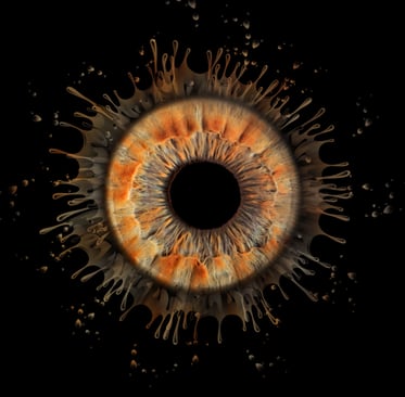 iris foto, Einzeliris, Auge, Macroaufnahme
