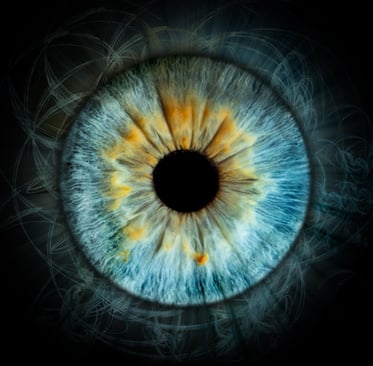 iris foto, Einzeliris, Auge, Macroaufnahme