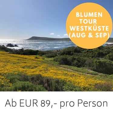 Blumenmeer vor der Lagune