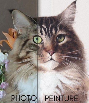 Comparaison photo et peinture de Jerka, chat Maine Coon