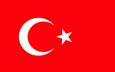 Made In Turkey logo