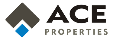 ACE PROPERTIES logo