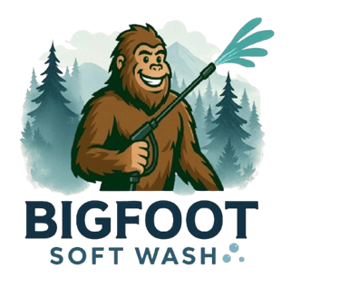 Pressure Washing logo