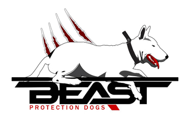 Fox9 Dog Training logo