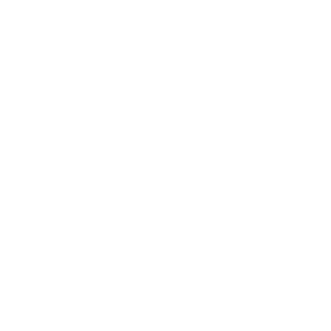 Born Angels logo