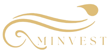 AMIN INVEST SRL logo