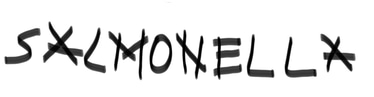 Salmonella logo