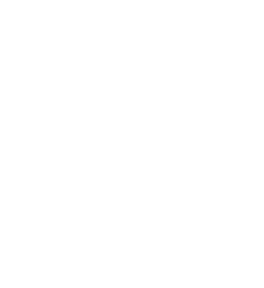 Chameleon Shield logo