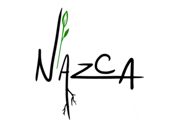 Nazca logo