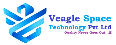 Veagle Space Technology logo