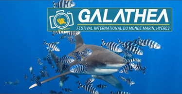 Affiche Galathea 2024