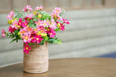 Decor for Plant Lovers
