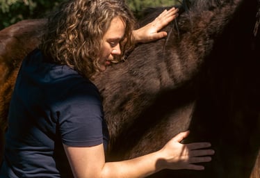 Gemma with her hands on a bay horse putting light pressure on its withers and upper leg.