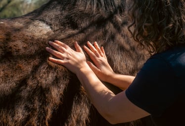 A close up shot of Gemma with back to the camera, resting her hands on the shoulders of a bay horse.