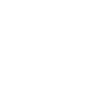 LOGO CHEMICAL NOISE