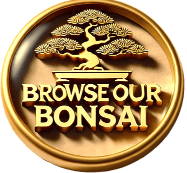 link to browse our bonsai