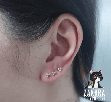 piercing à pau lobe