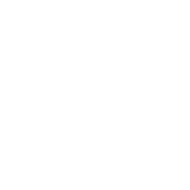 webocity logo