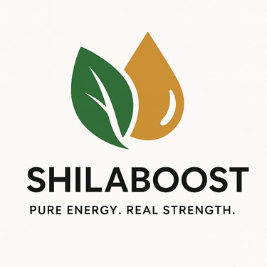 Shila Boost Private Limited logo