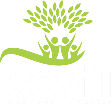 segurosyfianzascoatzacoalcos.com logo