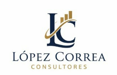 Lopez Correa Consultores logo