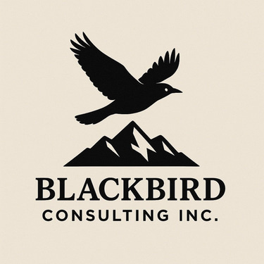 BlackBird Consulting Inc logo