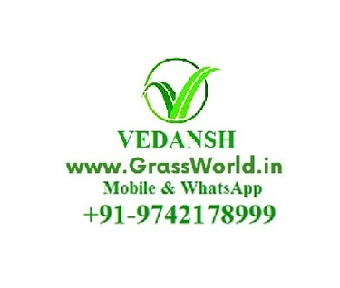 Nature Consulting Services Hyderabad logo