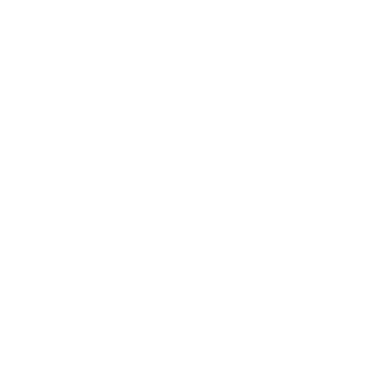 Ana Terra Nelore Pintado logo