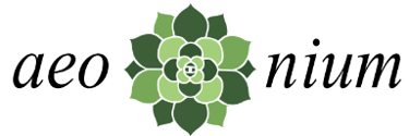 Aeonium logo