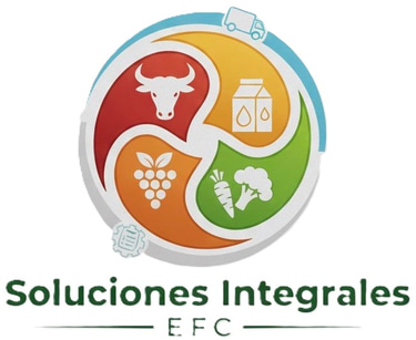 SOLUCIONES INTEGRALES EFC logo