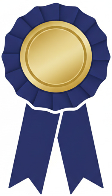 Blue Ribbon Enterprise logo