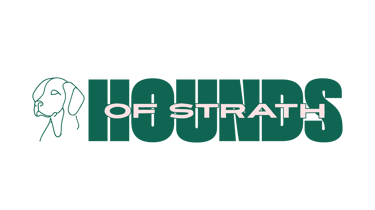 BluePeak Digital logo