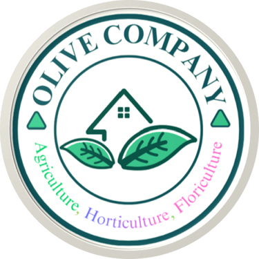 Olive Company logo
