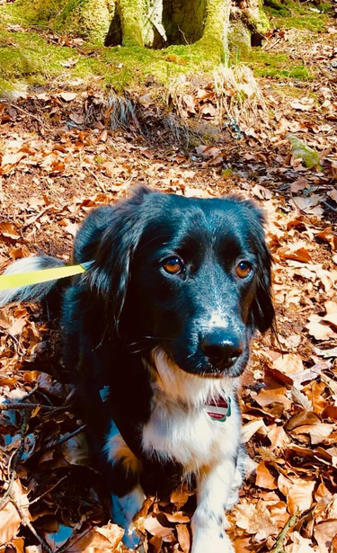 Ferienwohnung Frankenglück logo